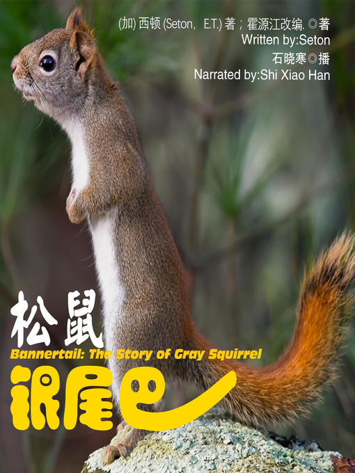 Cover image for 松鼠银尾巴